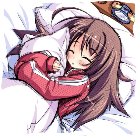 おねんねとばり.jpg